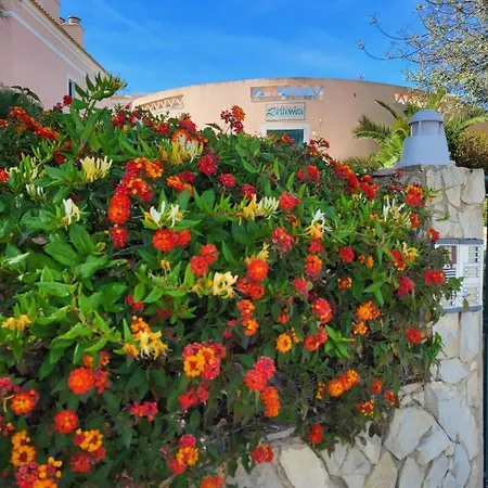 Sunny Haven *