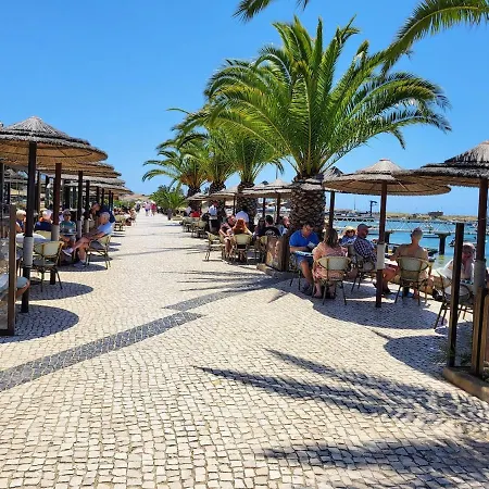 Sunny Haven Apartment